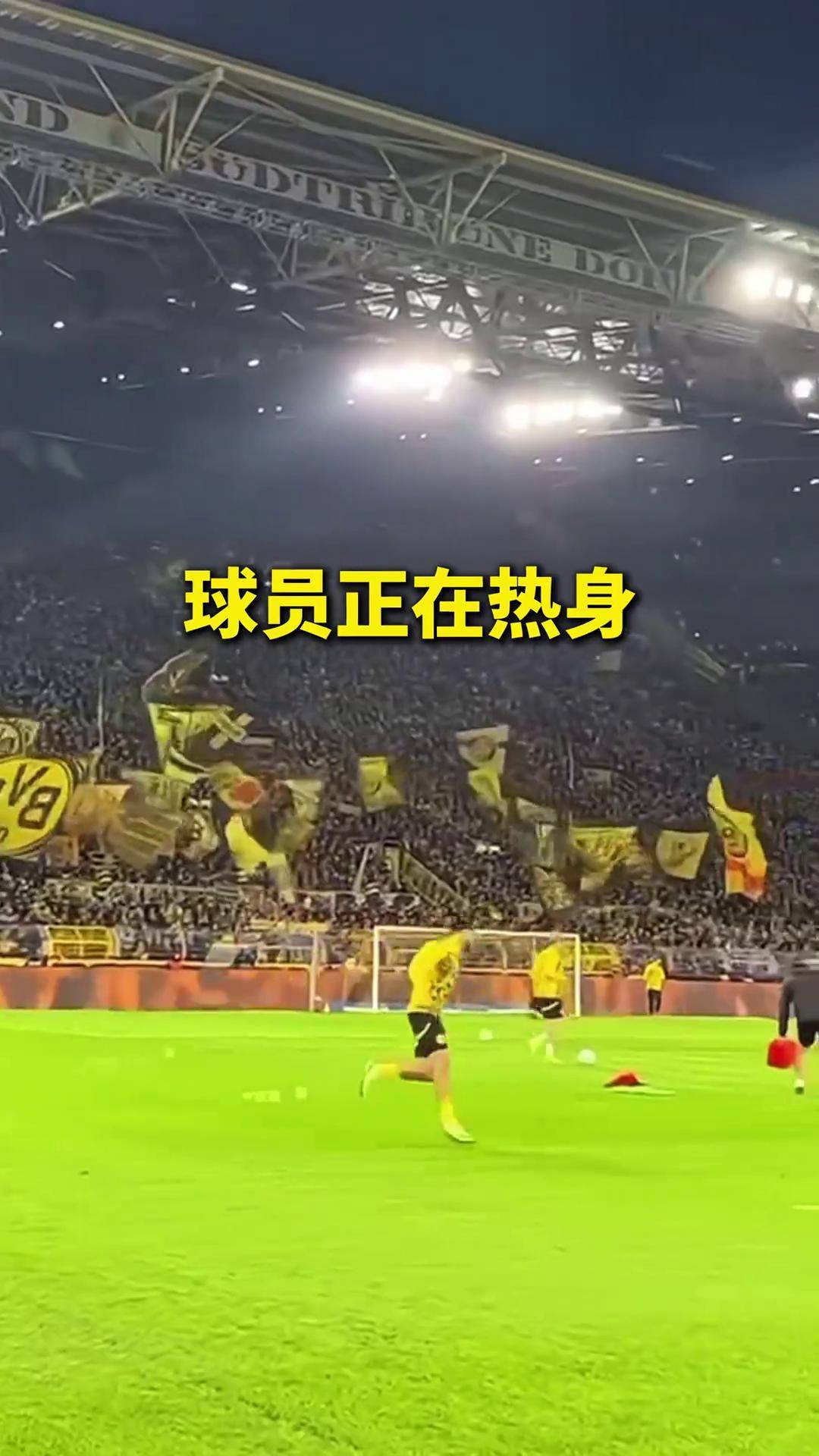 包含多特蒙德再次取胜，球迷欣喜若狂的词条